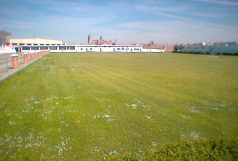 Campo de futbol