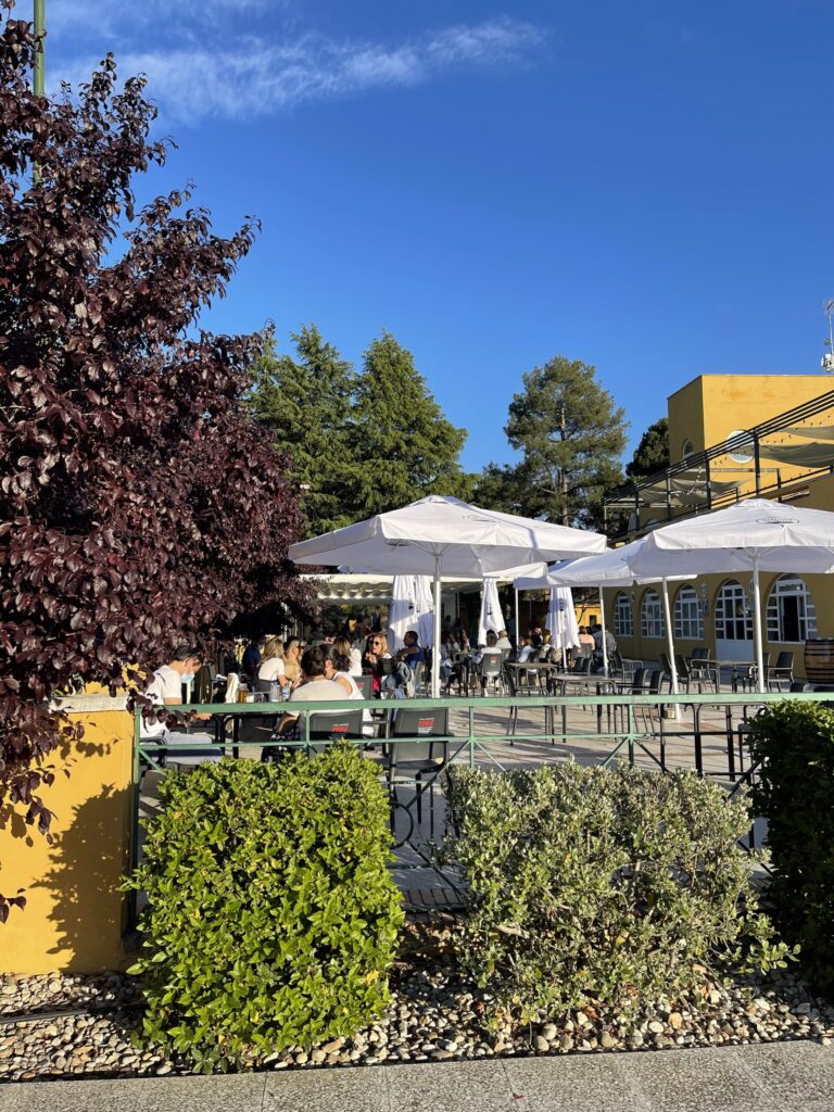 Cafeteria Central en Ctd Salamanca Celebrar cumpleaños original en Salamanca